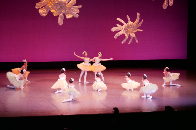 ようこそ桂井F.バレエアカデミー&ダンスカンパニーへ